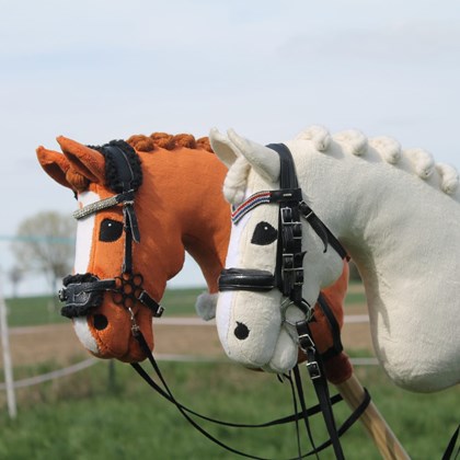 Hobby Horsing